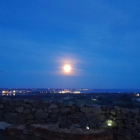 Fairy Cove At Rosemount Glamping Hotel Carlingford Luaran gambar