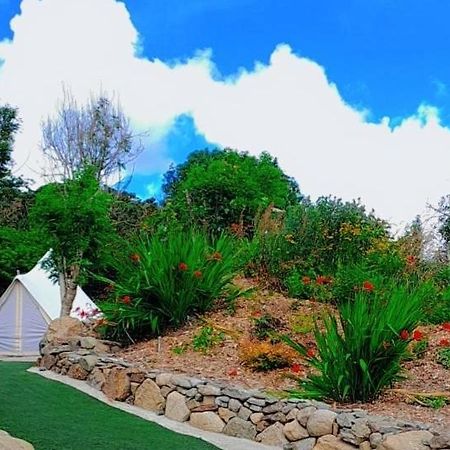 Fairy Cove At Rosemount Glamping Hotel Carlingford Luaran gambar