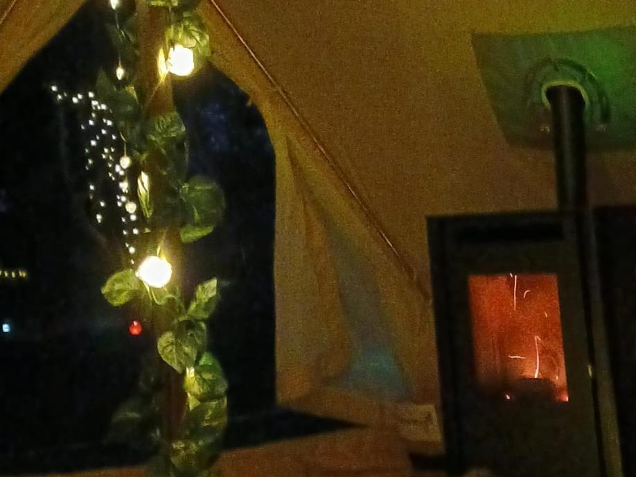 Fairy Cove At Rosemount Glamping Hotel Carlingford Luaran gambar