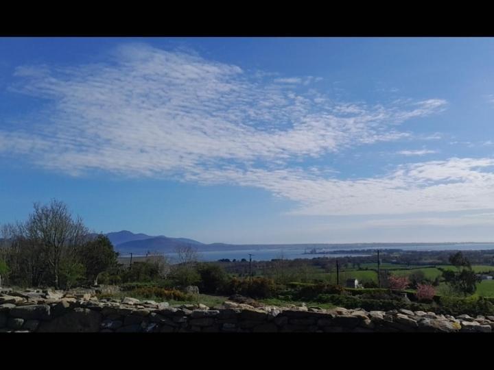 Fairy Cove At Rosemount Glamping Hotel Carlingford Luaran gambar