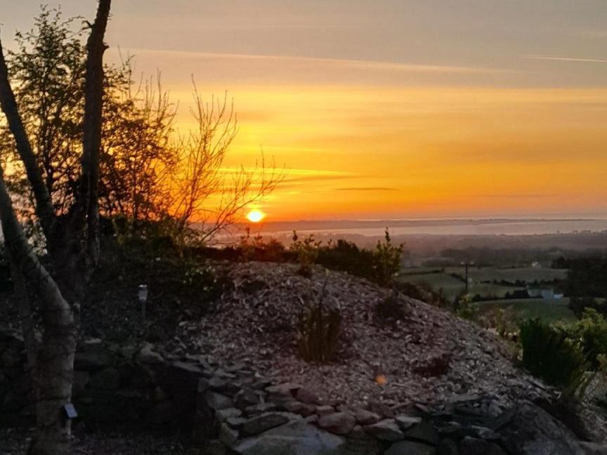 Fairy Cove At Rosemount Glamping Hotel Carlingford Luaran gambar