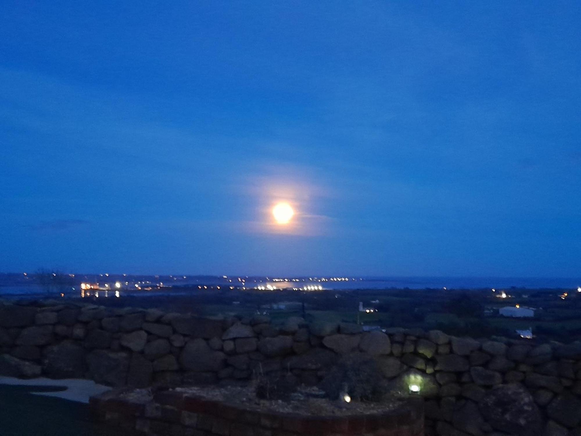 Fairy Cove At Rosemount Glamping Hotel Carlingford Luaran gambar