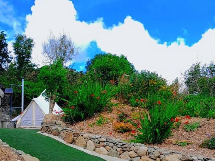 Fairy Cove At Rosemount Glamping Hotel Carlingford Luaran gambar
